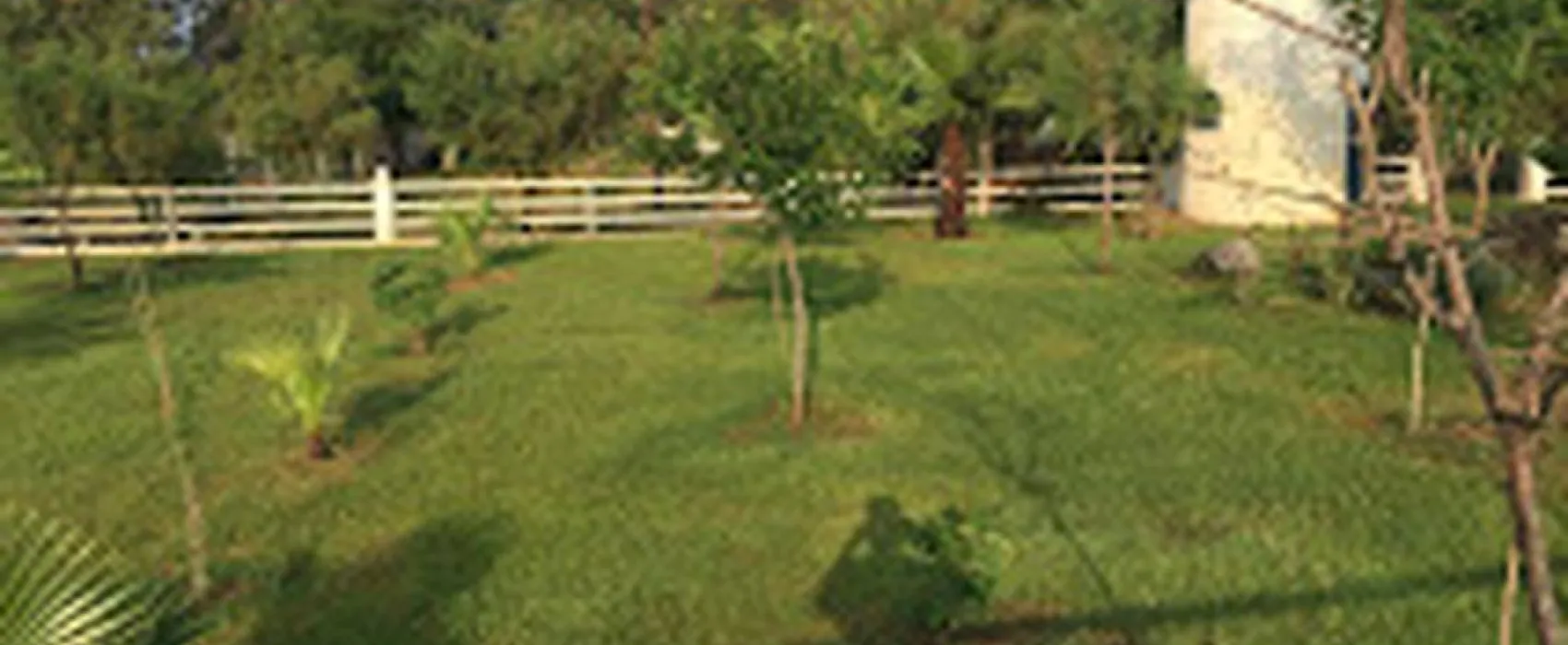 Golden Coast Camping