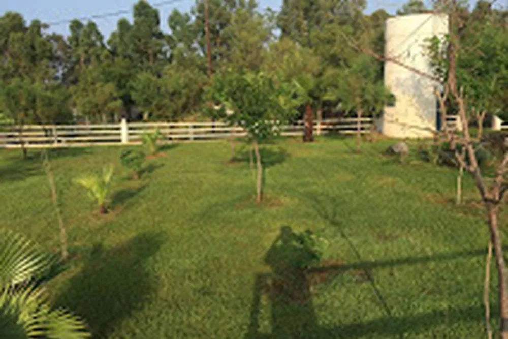 Golden Coast Camping