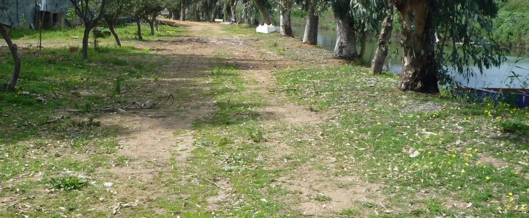 Golden Coast Camping