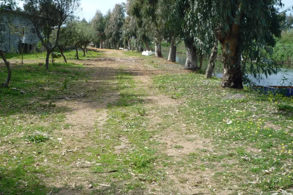 Golden Coast Camping