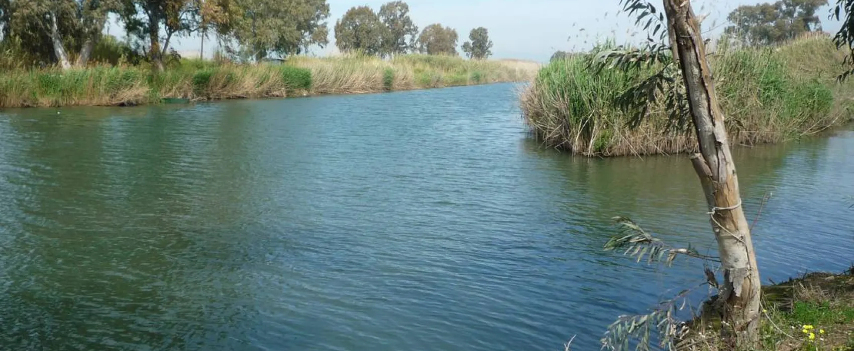 Golden Coast Camping