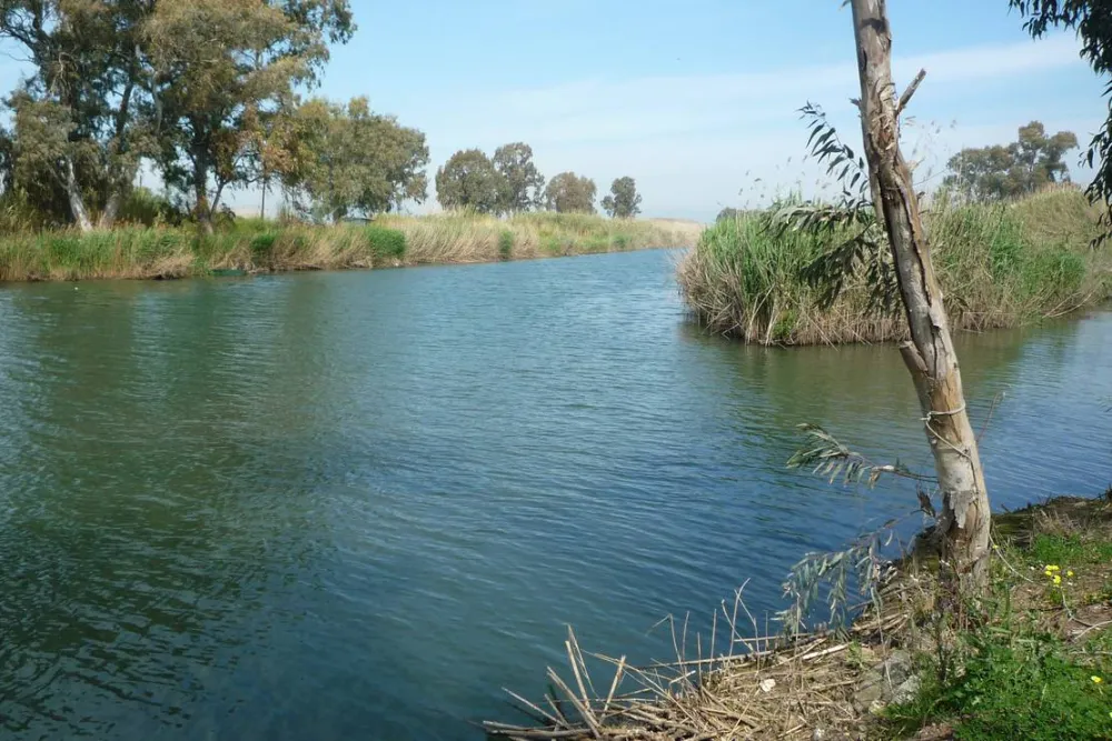 Golden Coast Camping