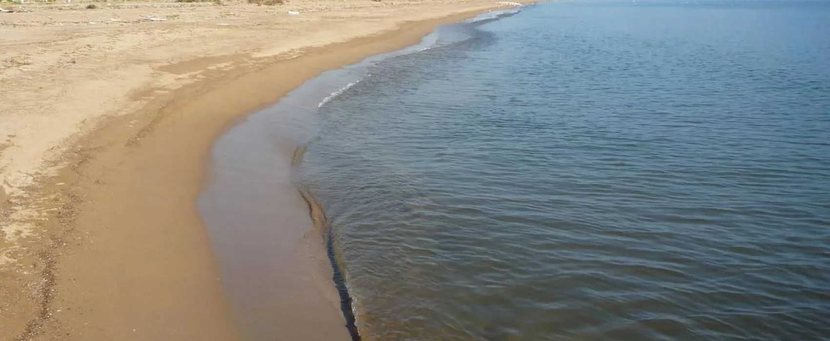 Golden Coast Camping