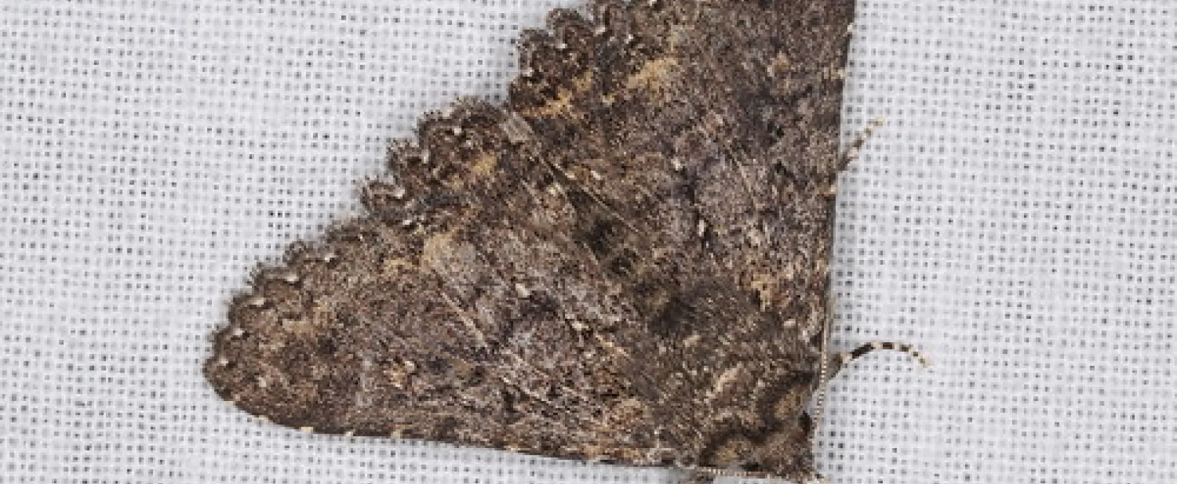 Waitpinga Campground