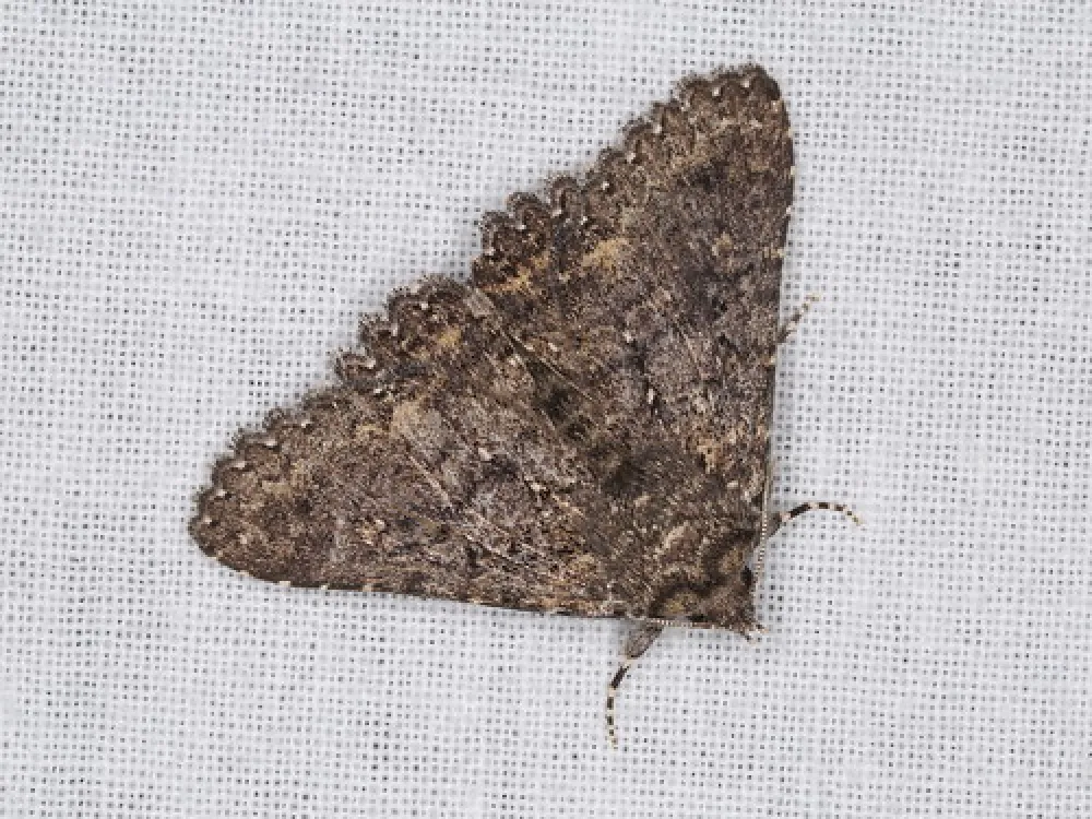 Waitpinga Campground