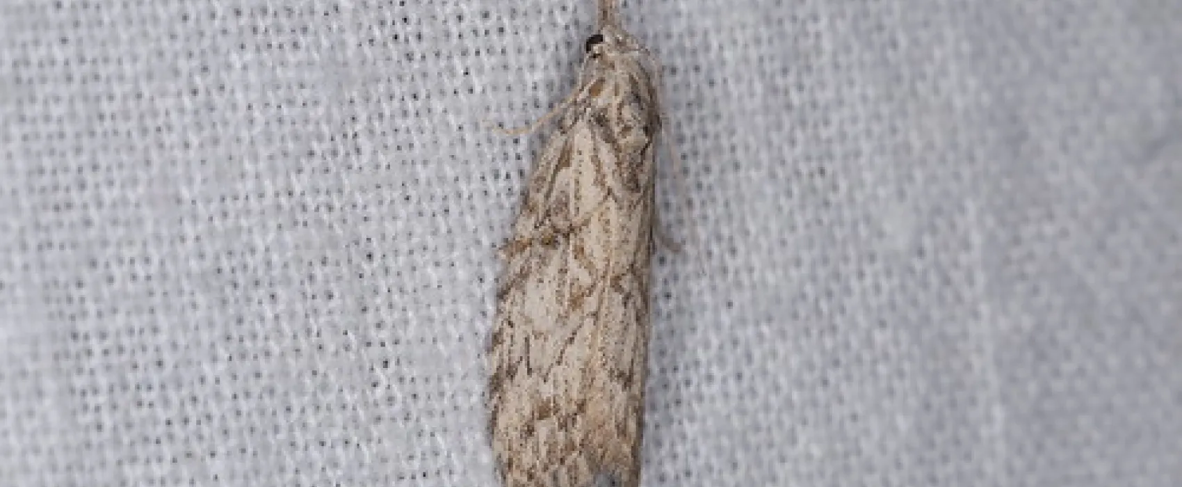 Waitpinga Campground