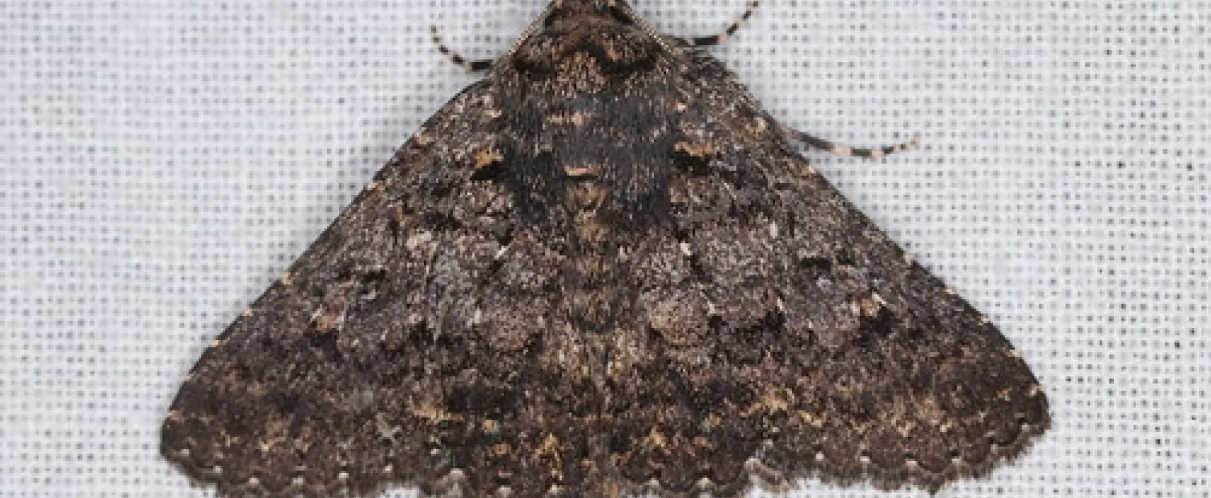 Waitpinga Campground