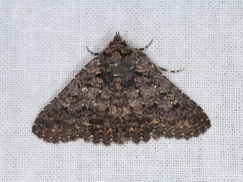 Waitpinga Campground