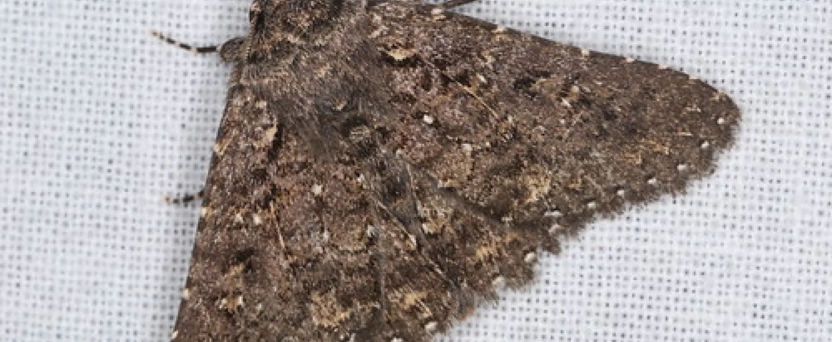 Waitpinga Campground