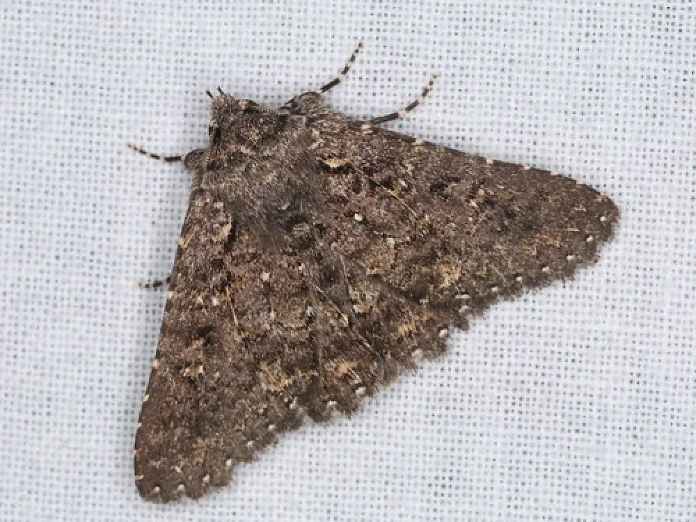 Waitpinga Campground