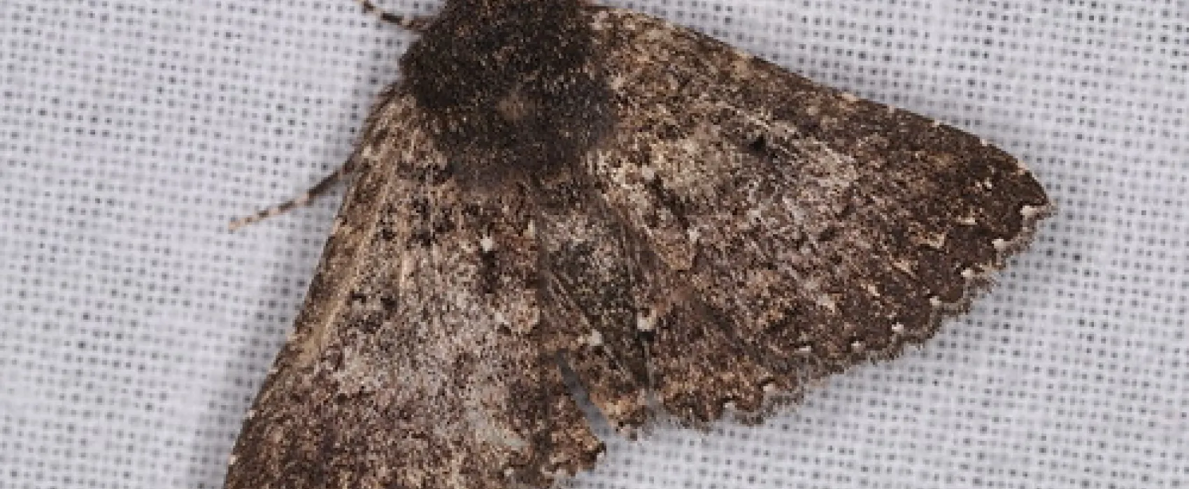 Waitpinga Campground