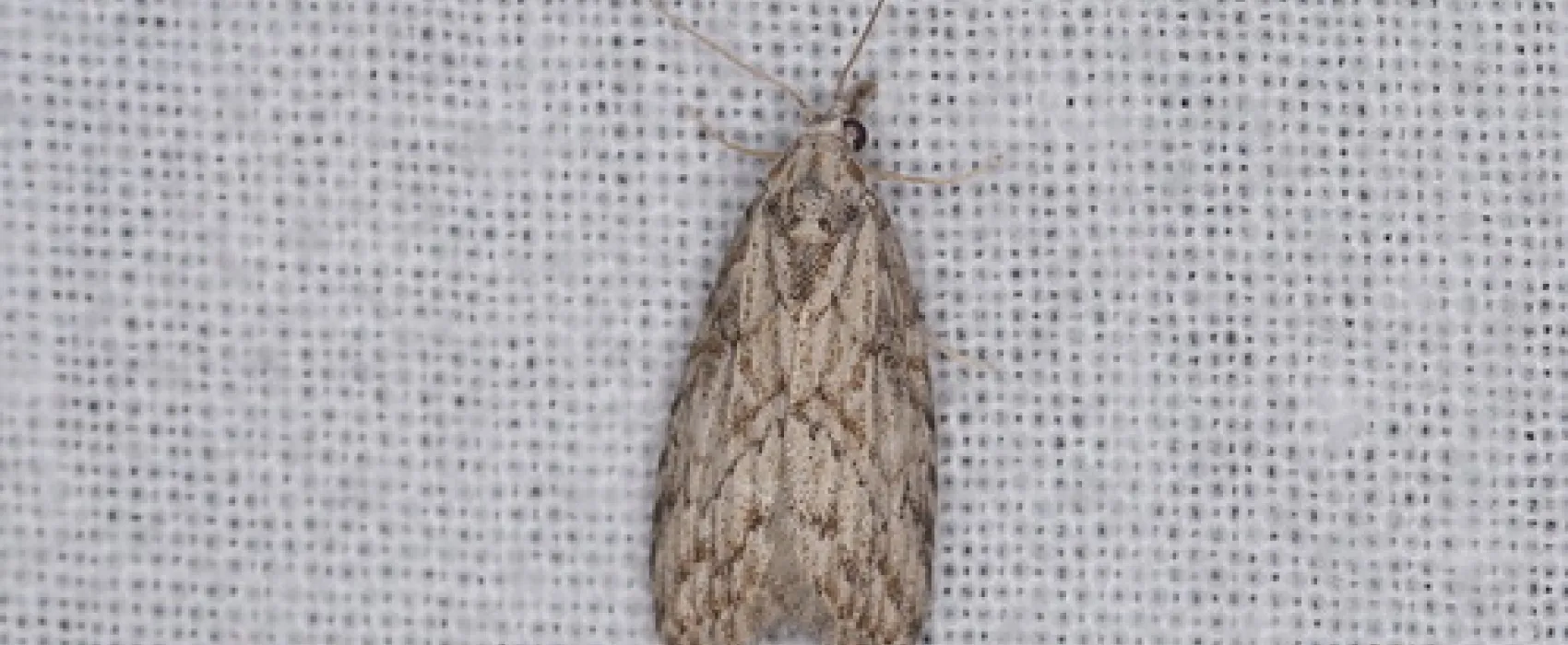 Waitpinga Campground