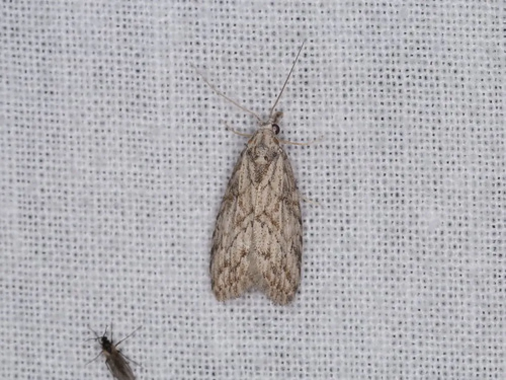 Waitpinga Campground