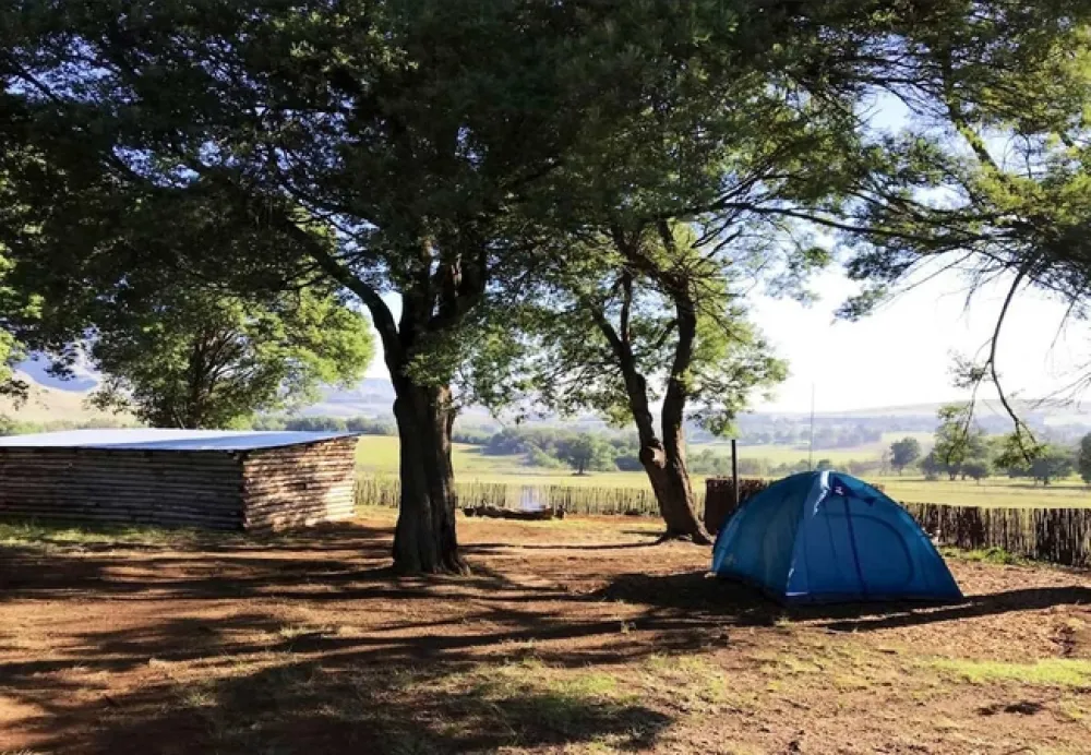 Splashy Fen Log Cabin Camping