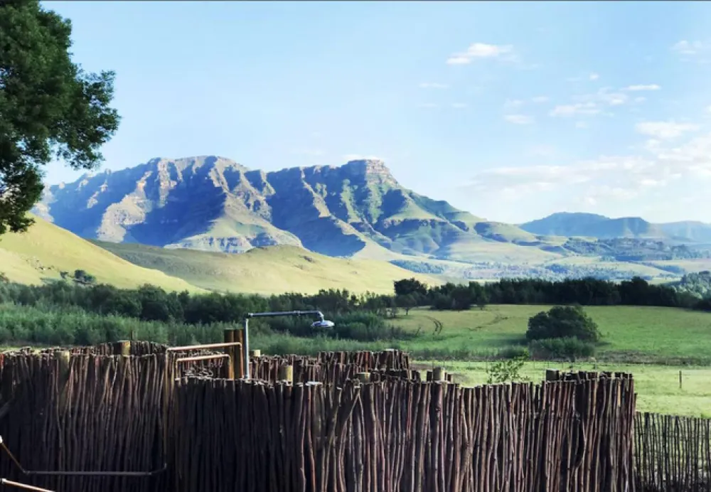 Splashy Fen Log Cabin Camping