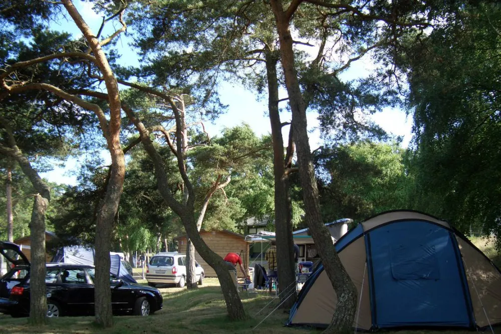 Råbocka Familjecamping