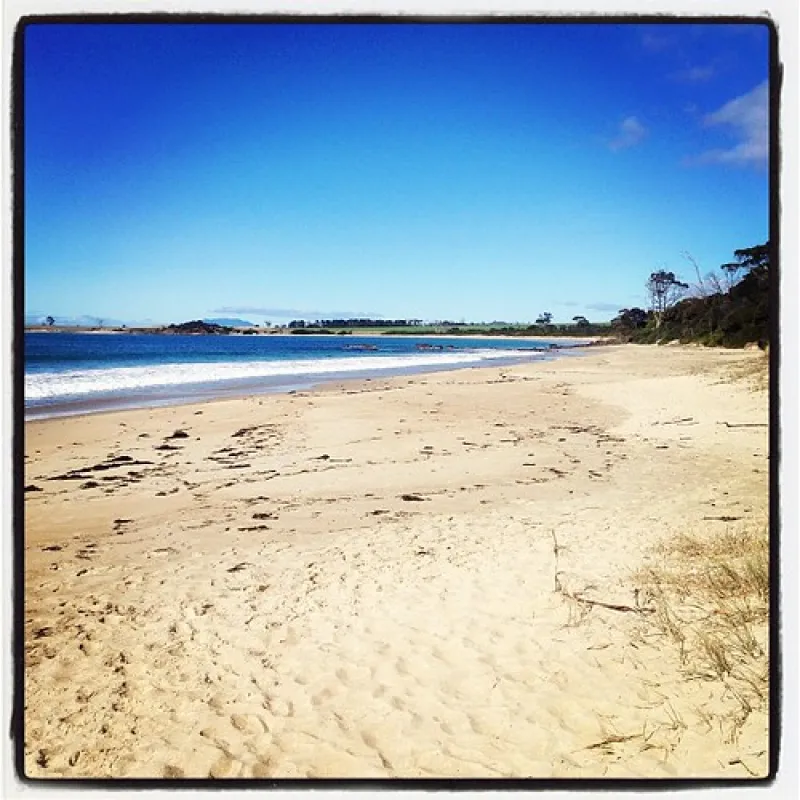 Mayfield Bay Campground