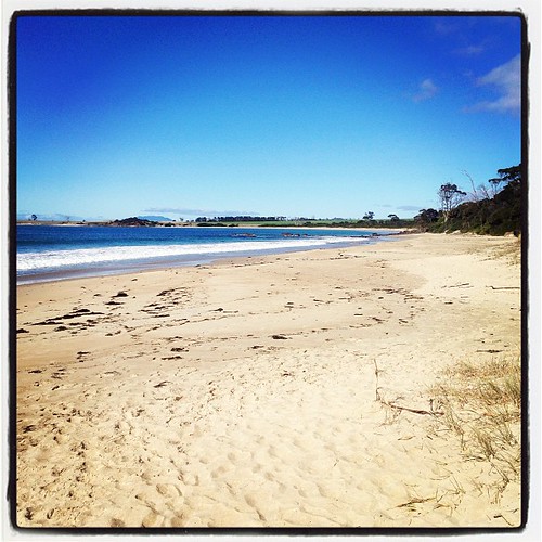 Mayfield Bay Campground - Photo 2