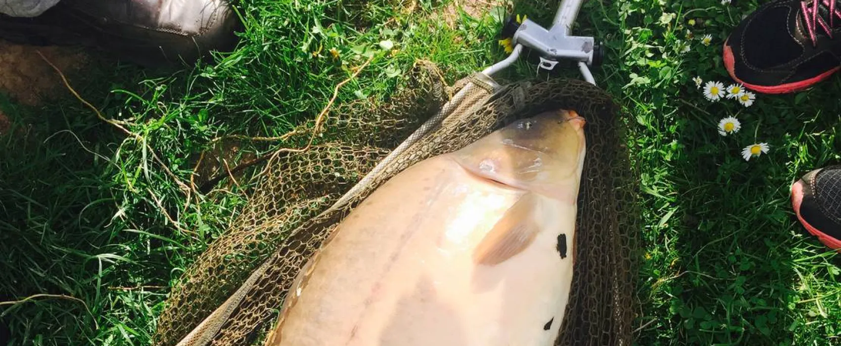 Campingplatz Am Hünstein