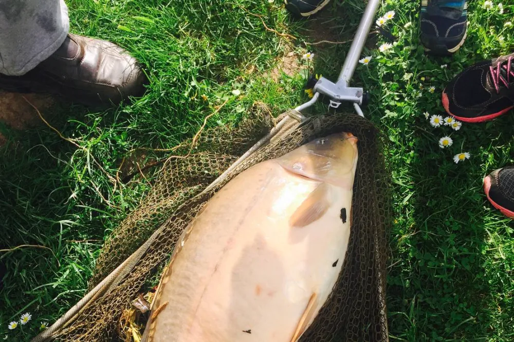 Campingplatz Am Hünstein