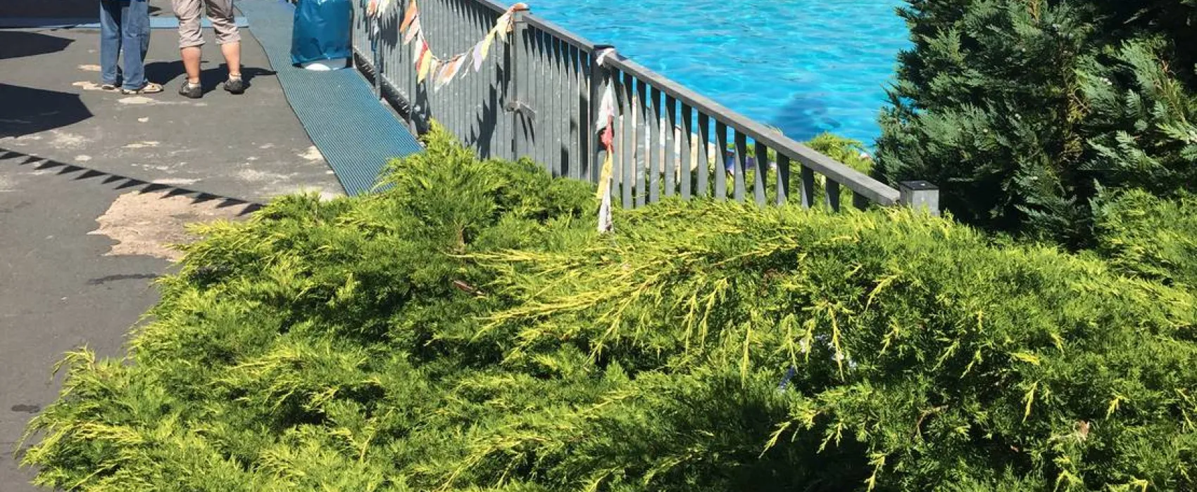 Campingplatz Am Hünstein