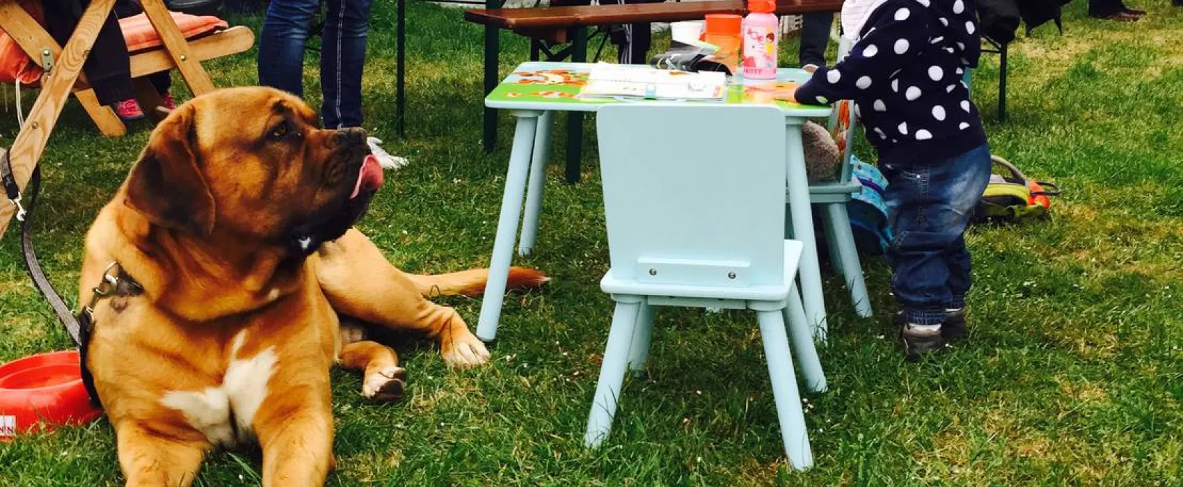 Campingplatz Am Hünstein