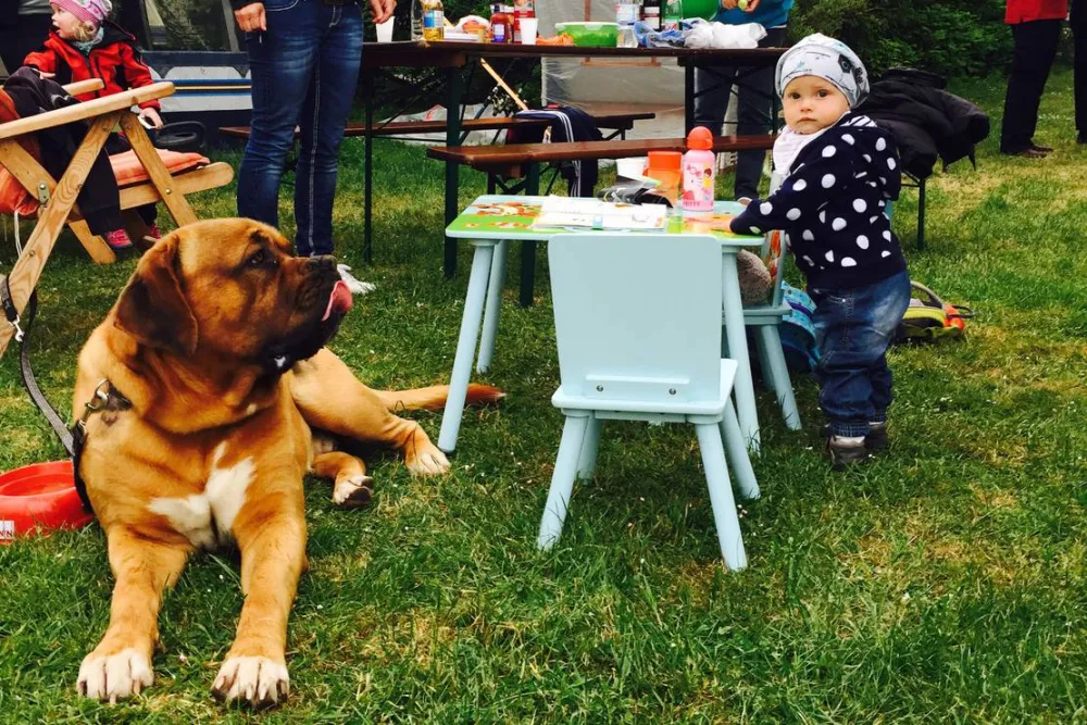 Campingplatz Am Hünstein