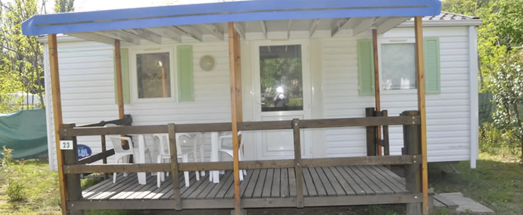 A L'Ombre des Sycomores