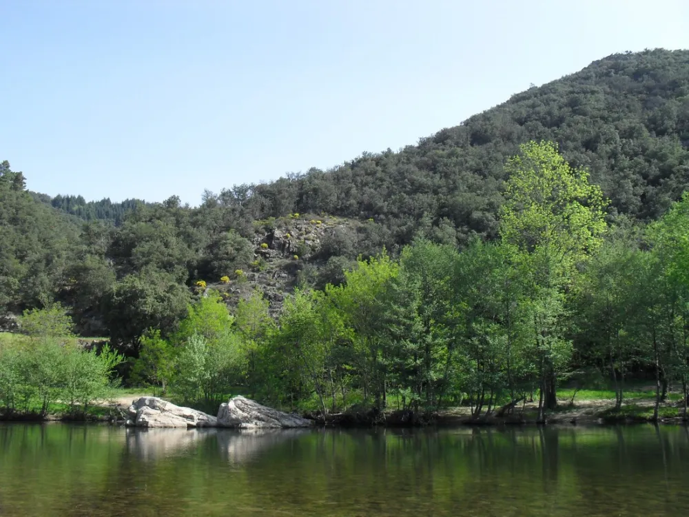 A L'Ombre des Sycomores