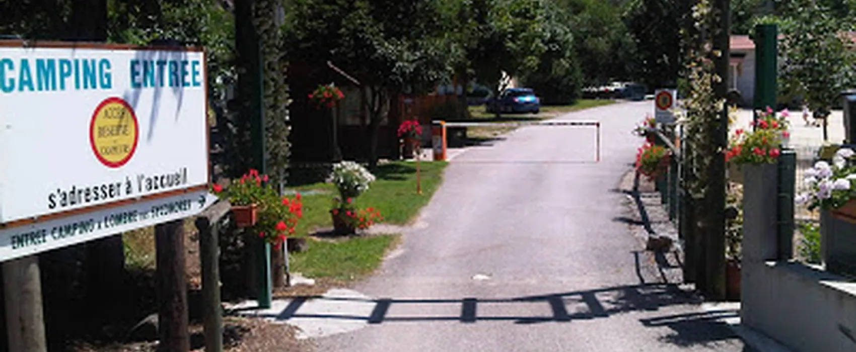 A L'Ombre des Sycomores