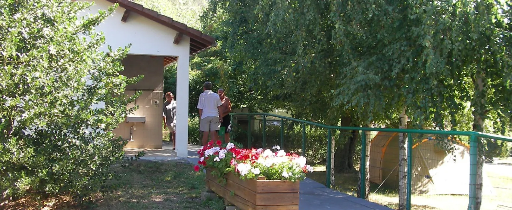 A L'Ombre des Sycomores