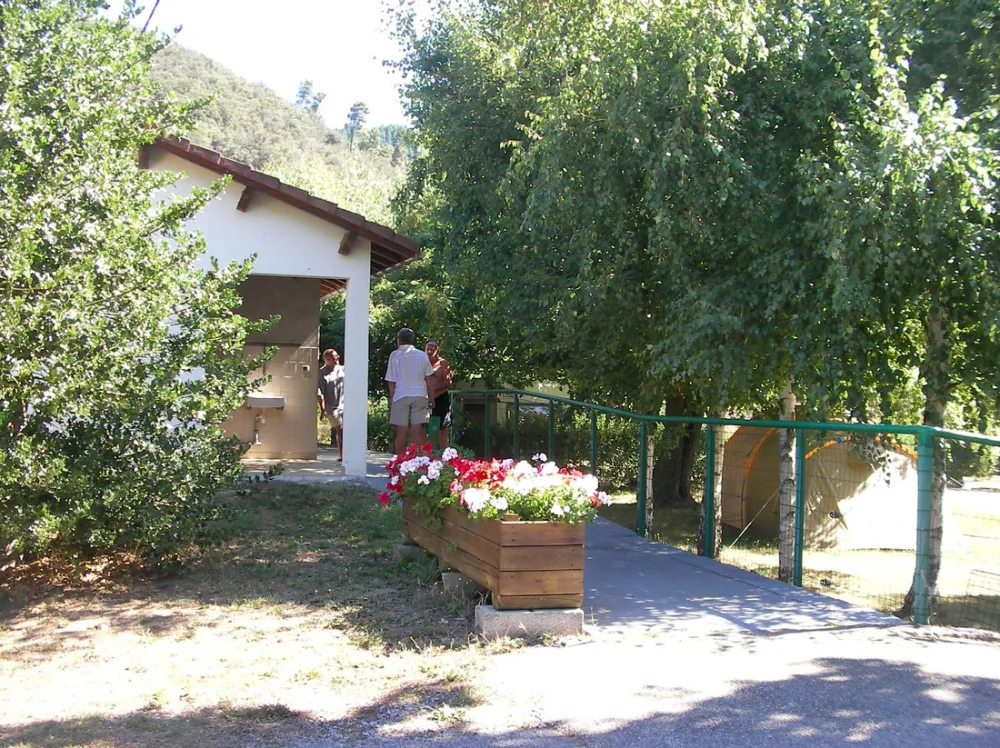 A L'Ombre des Sycomores