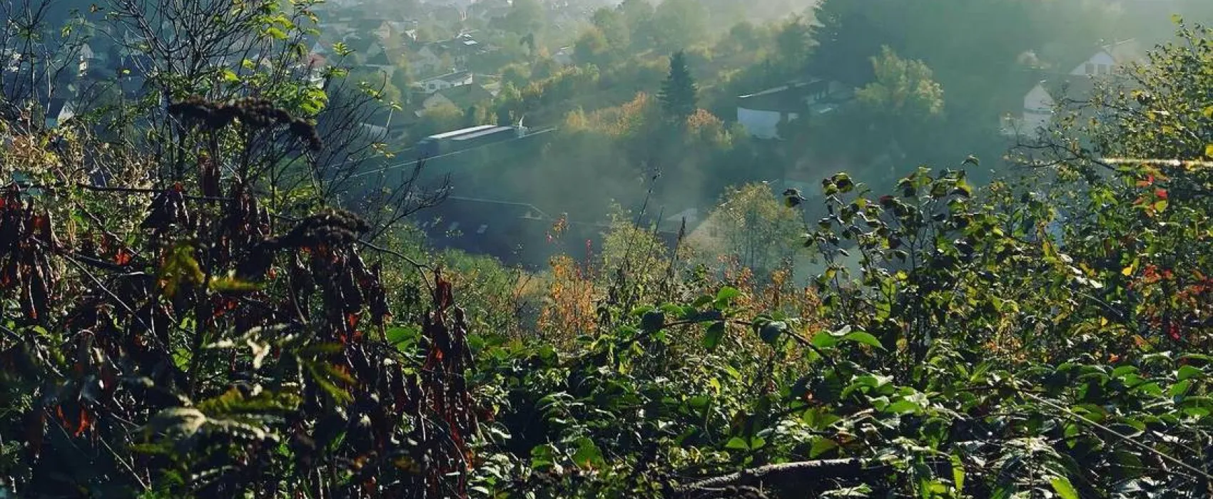 Zeltplatz Wallenfels