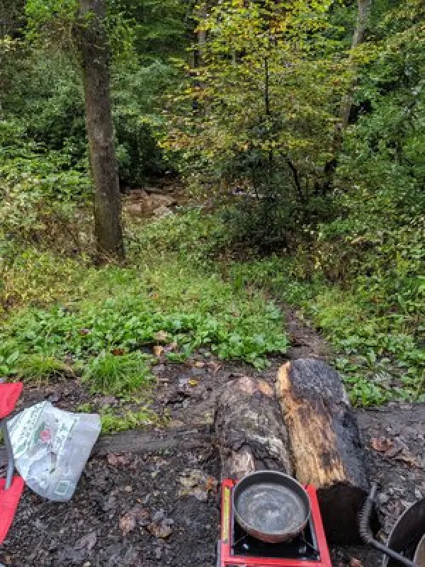 Avery Creek Roadside Campsites