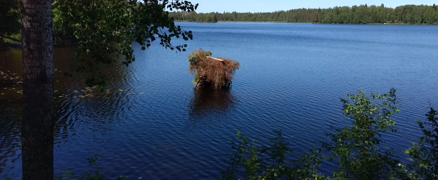 Riihijärven Matkaparkki