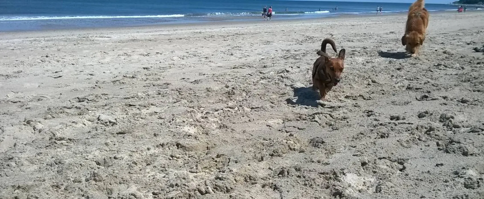 Camping Am Dünengelände GmbH