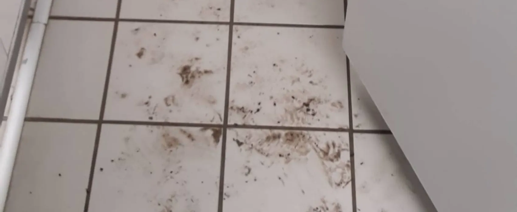 Camping Am Dünengelände GmbH