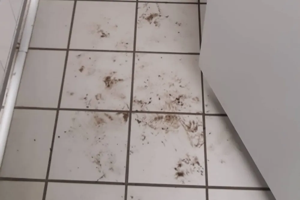 Camping Am Dünengelände GmbH