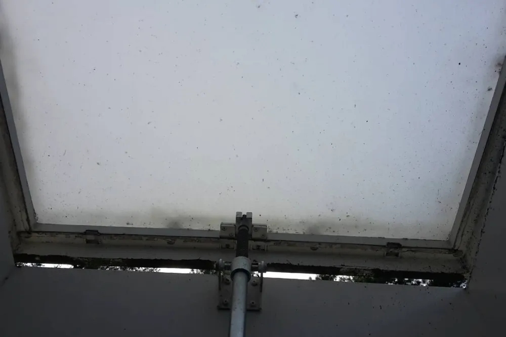 Camping Am Dünengelände GmbH