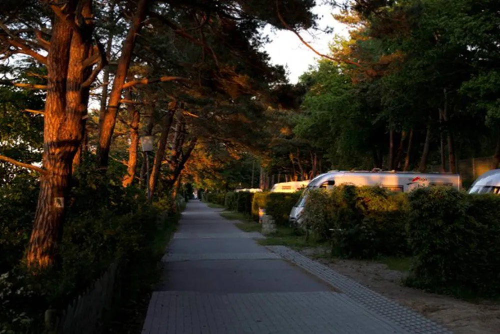 Camping Am Dünengelände GmbH