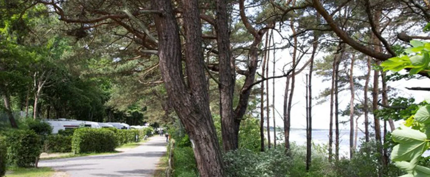 Camping Am Dünengelände GmbH