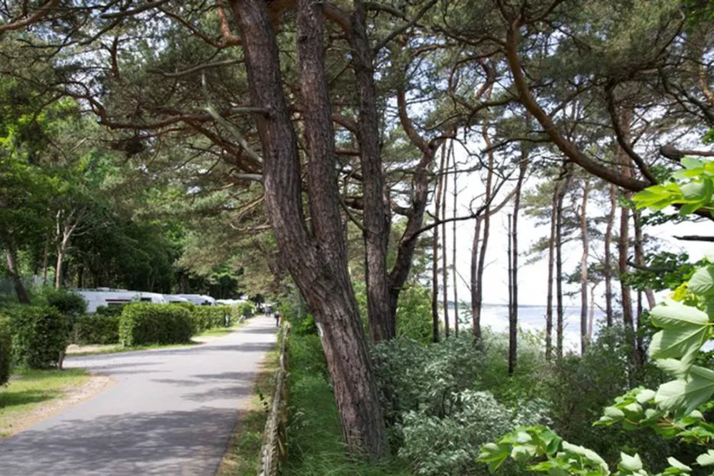 Camping Am Dünengelände GmbH