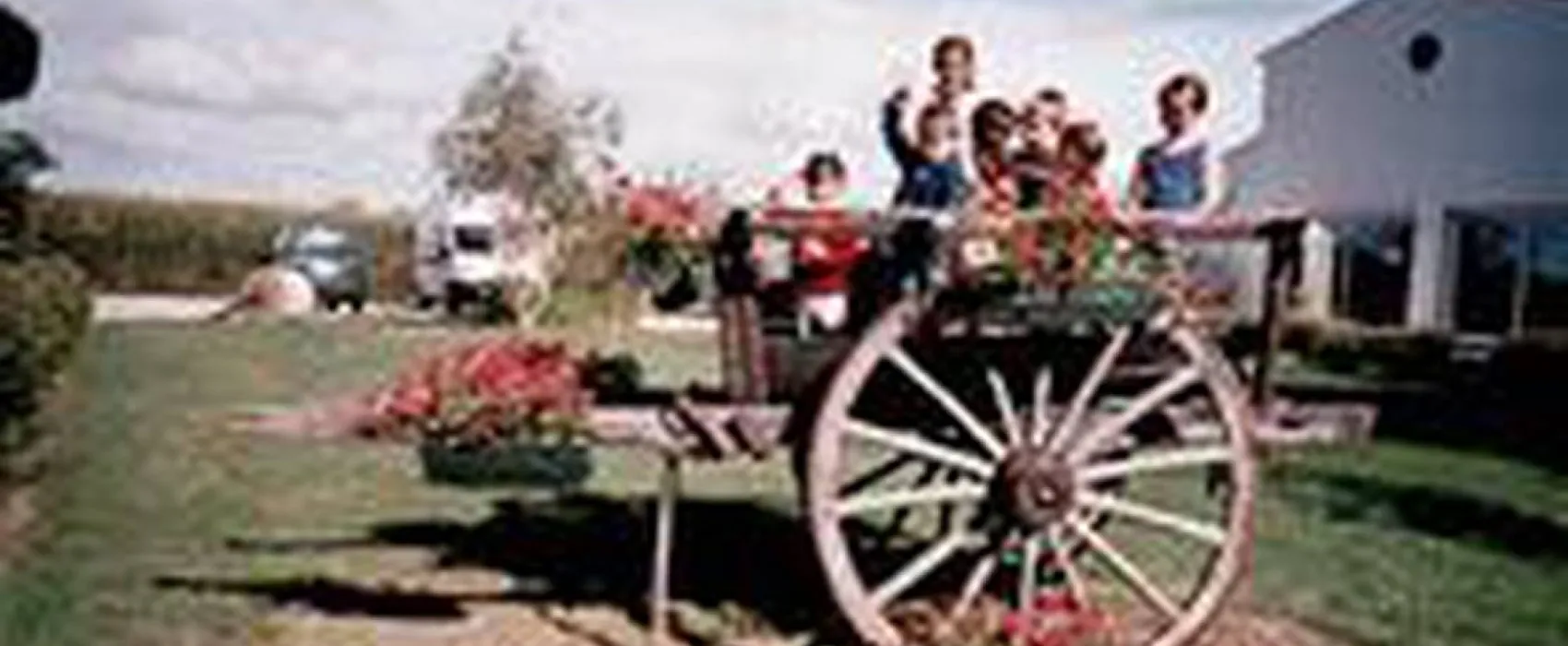 Camping aire naturelle Le trèfle à 4 Feuilles