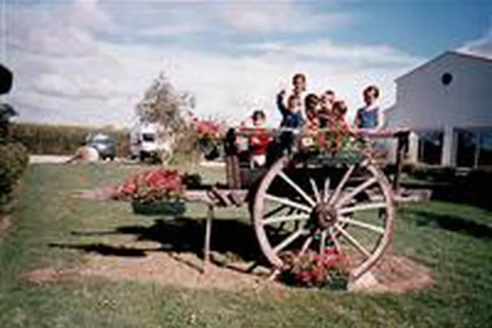 Camping aire naturelle Le trèfle à 4 Feuilles