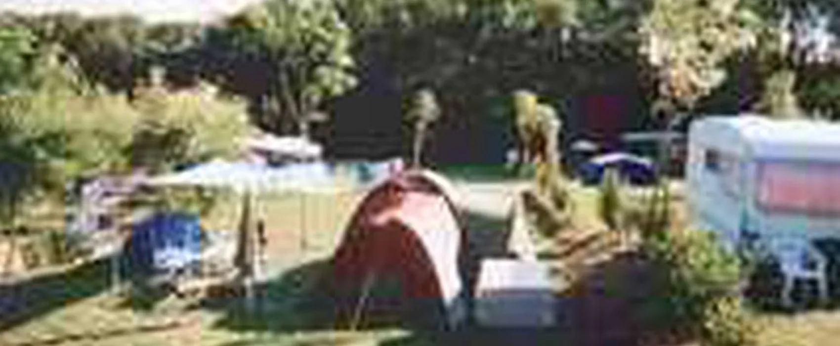 Camping aire naturelle Le trèfle à 4 Feuilles