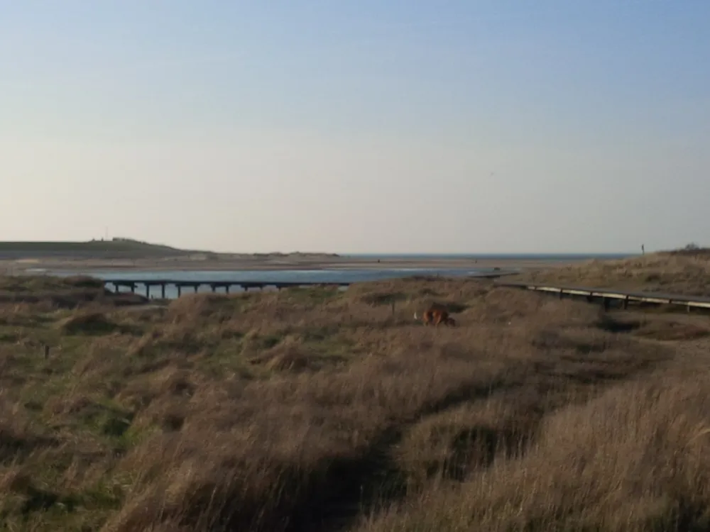 Caravanpark Nooitgedacht