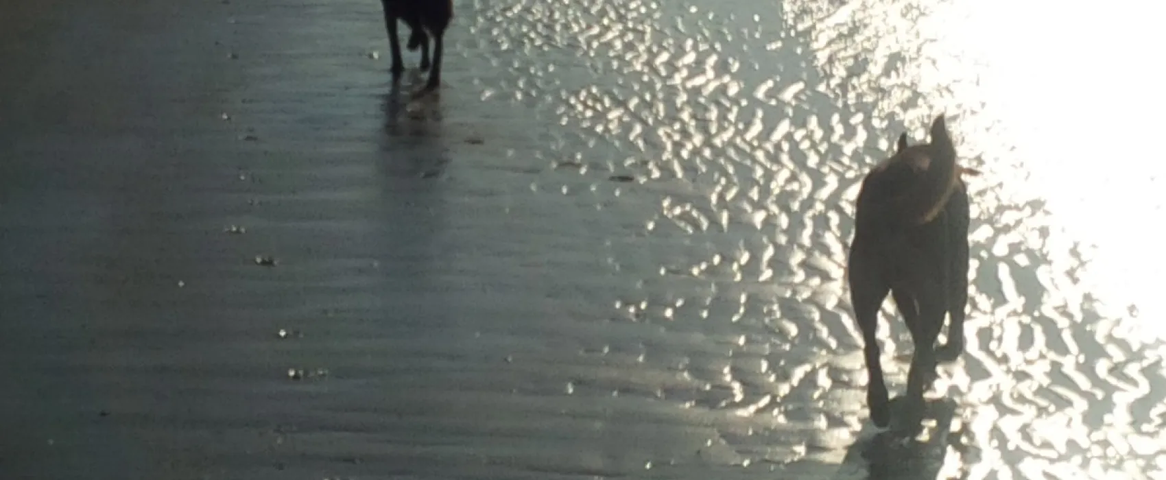 Caravanpark Nooitgedacht