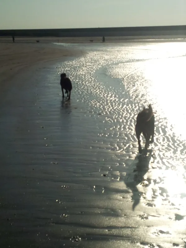 Caravanpark Nooitgedacht