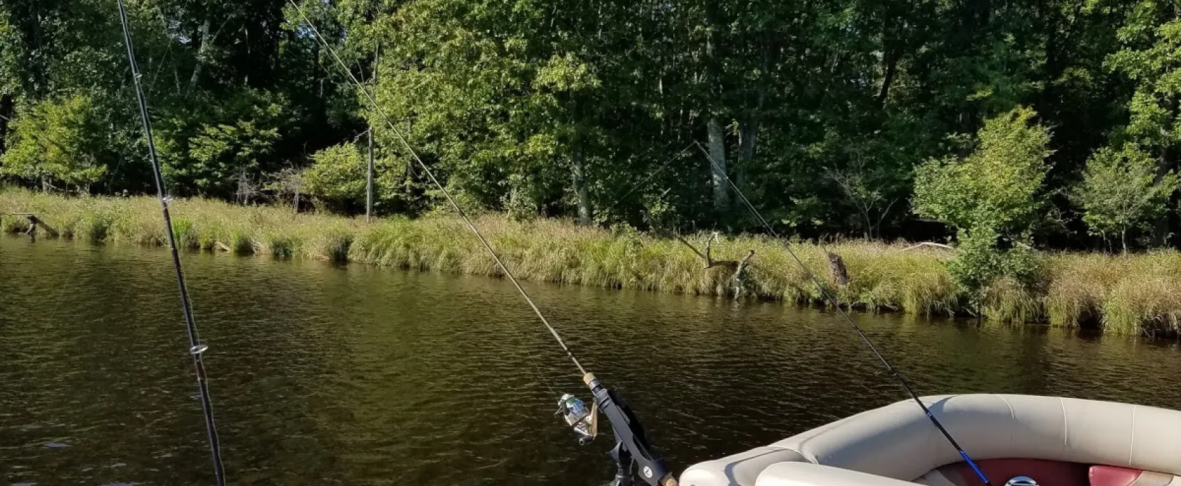 Lake DuBay Shores Campground