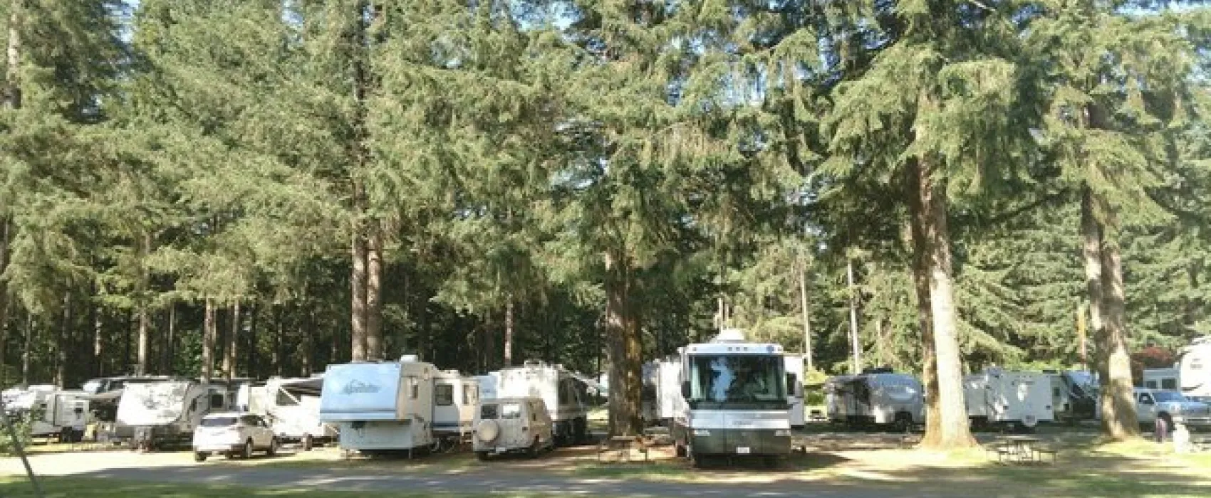 Olympia Campground